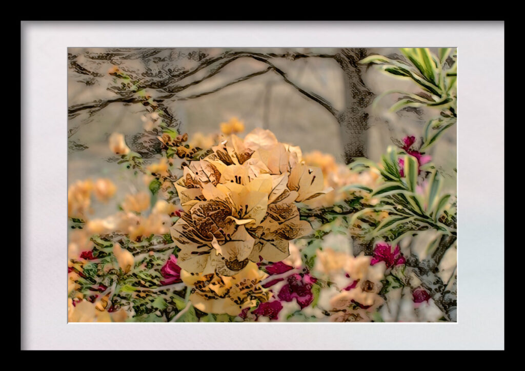 abstract flower image