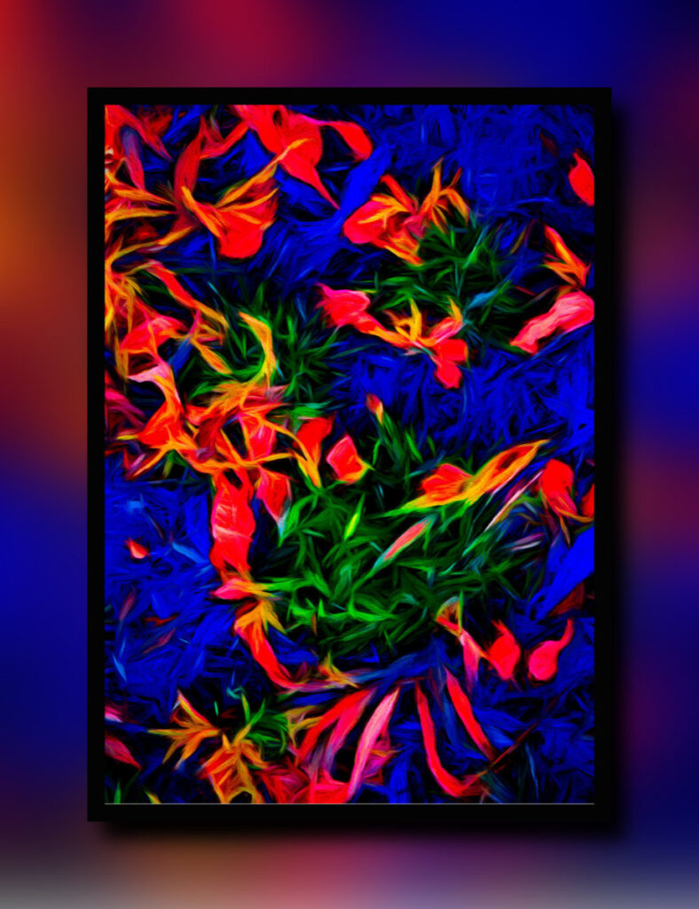 abstract flower image