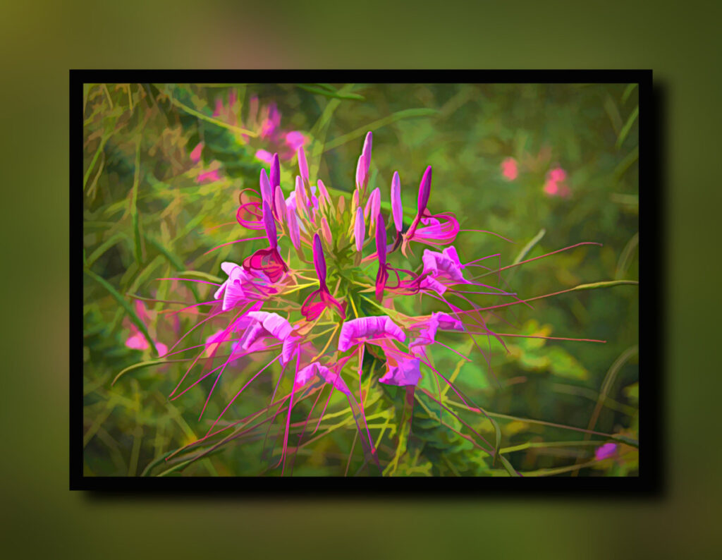 abstract flower image